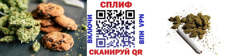 Cannafood конопля  Шагонар 