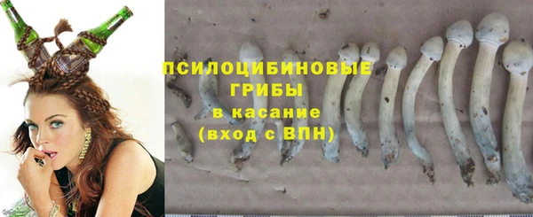 мдма Нефтекумск